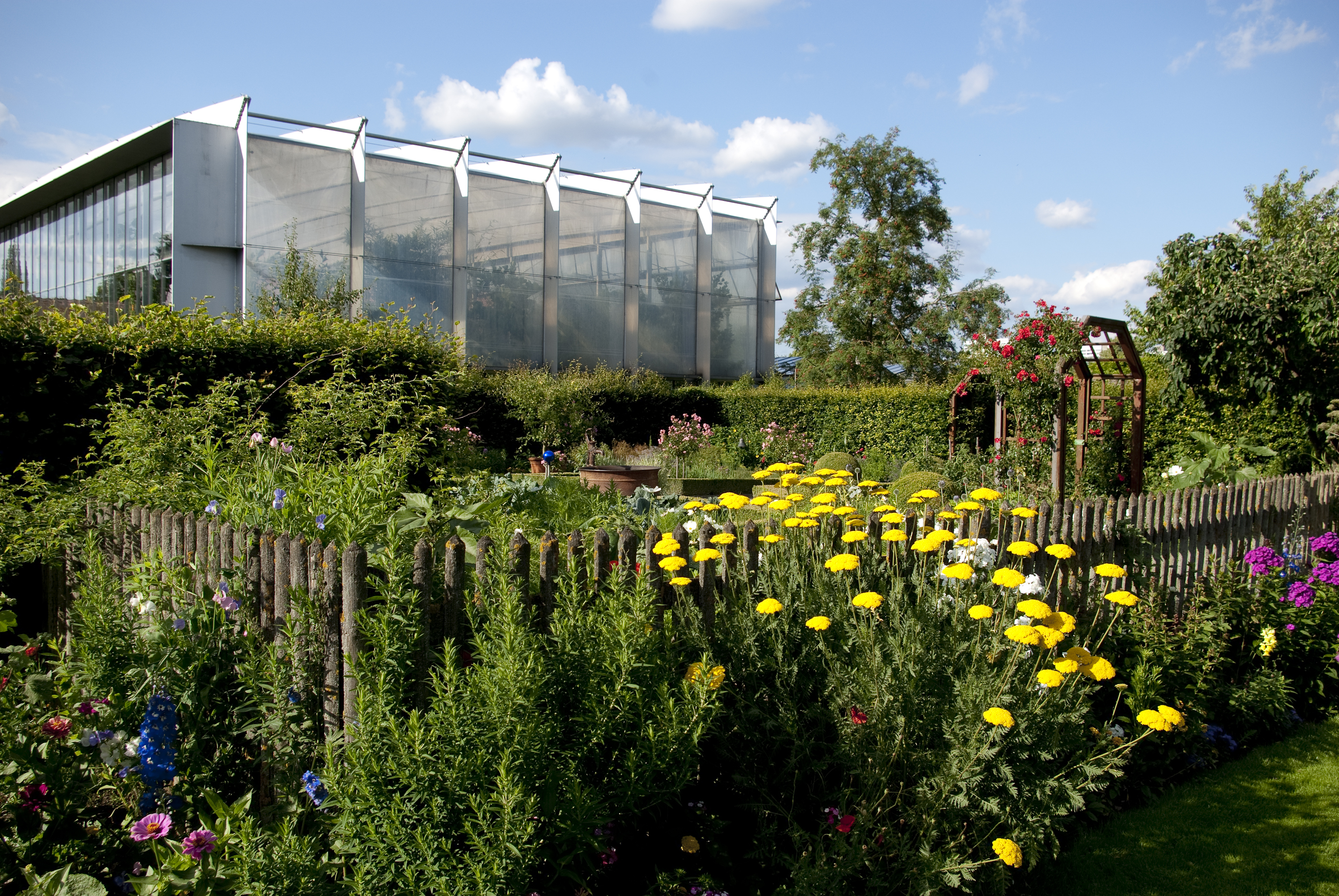 Ein neuses Sukkulentenhaus für den Botanischen Garten?